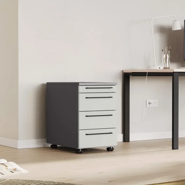 Rollkorpus Window - Omlin