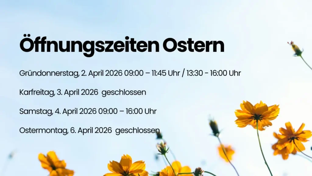 photo 2026 04 02 02.51.46